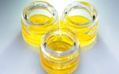 Complete Live Resin Guide